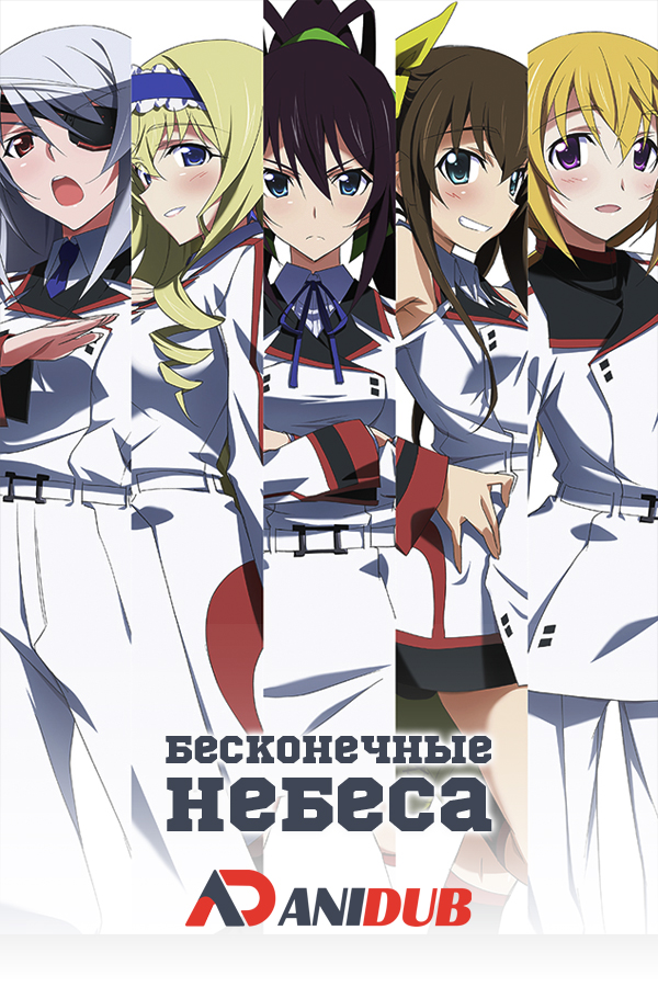 Бесконечные небеса / IS: Infinite Stratos [12 из 12]